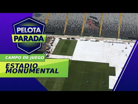 Así está el campo de juego del Estadio Monumental - Pelota Parada