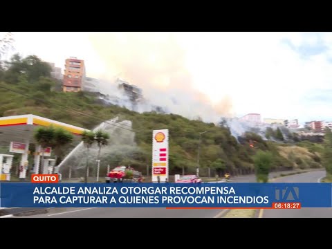 Alcalde de Quito analiza otorgar recompensa para capturar a los responsables de los incendios