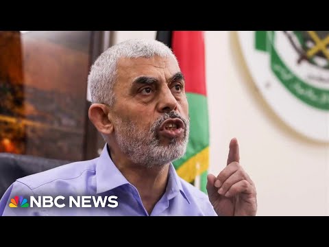 New details of Israeli operation that killed Hamas leader