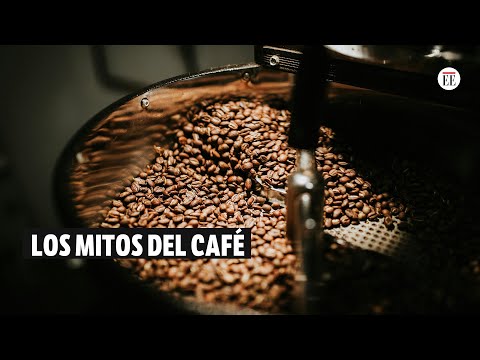 Desmintiendo mitos del café con expertos en la feria Cafés de Colombia Expo 2024 | El Espectador