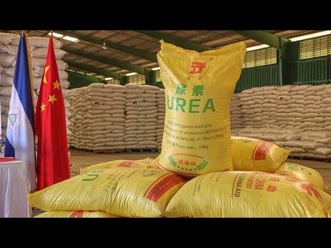 Nicaragua agradece importante donativo de trigo y urea a China