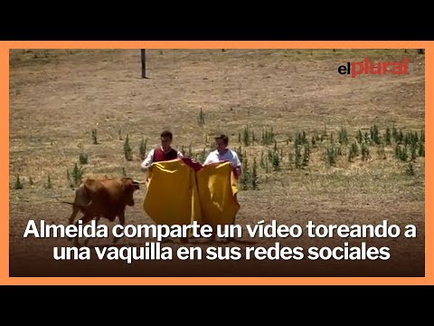 Almeida comparte un vídeo toreando a una vaquilla en sus redes sociales