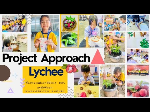 ProjectApproachLycheeP.34