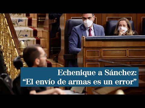 Echenique a Sánchez: El envío de armas es un error
