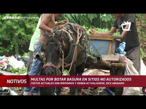 Recomiendan actualizar costos de multas por botar basura en sitios no autorizados