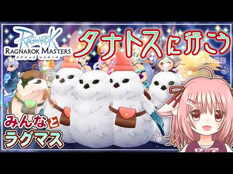 【参加型】夏だけどシマエナガ祭り!…のラグマスでみんなと遊ぶ!※棚ヒ募集は23時頃から【ラグマス】【えりるる】