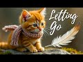  GingMeow Tiny Cat’s Lesson in Letting Go!   #cat #kitten #cute #gingmeow