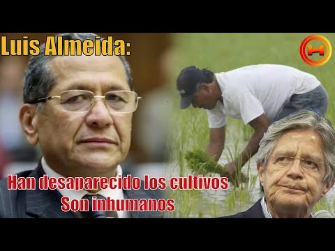Luis Almeida: Inhumanos, abren las represas para favorecer a sectores y no les importa el pueblo