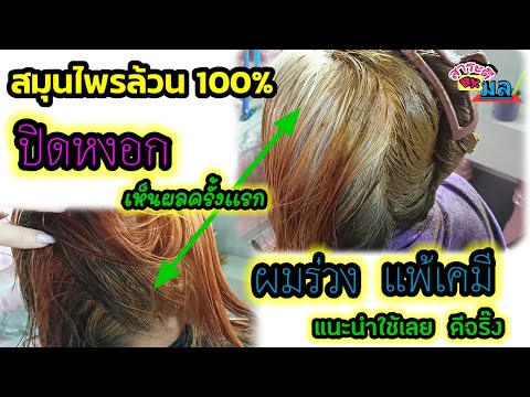 ปิดผมหงอกผมขาวแนบสนิทตั้งแต่คร ปิดผมหงอกผมขาวแนบสนิทตั้งแต่คร