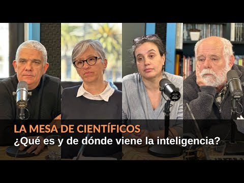 La Mesa de Científicos: ¿Qué es ser inteligente? ¿Hay distintos tipos de inteligencia?