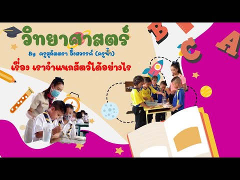 ป.4-:-เราจำแนกสัตว์ได้อย่างไร ป.4-:-เราจำแนกสัตว์ได้อย่างไร