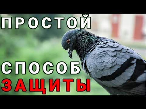 Play.tojsiab: search channel ucnluuioheusrhdynqw3qldw.