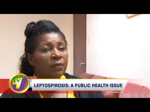 TVJ Health Report: Leptospirosis: A Public Health Issue - February 5 2020