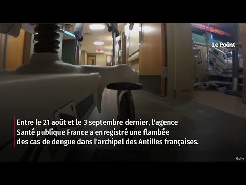 Comment le virus de la dengue arrive en France