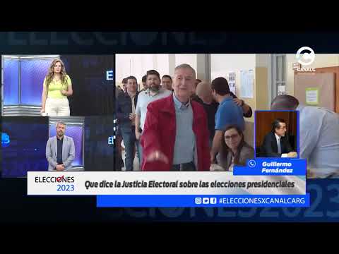 Guillermo Fernández - La Justicia Electoral sobre las elecciones presidenciales