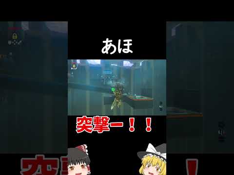 自分の命＜球入れ