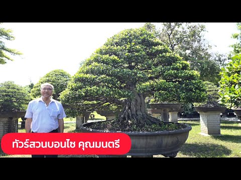 ทัวร์สวนบอนไซคุณมนตรีสุขเสริม