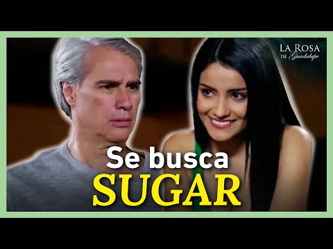 Violeta busca un sugar | Sugar Daddy, el patrocinador  | Rumbo al milagro 2000