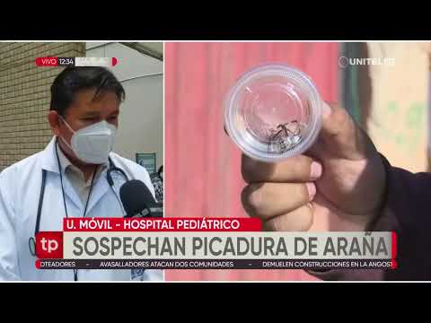 Menor en observación por sospecha de picadura de araña viuda negra