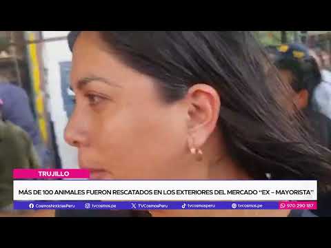Trujillo: Más de 100 animales fueron rescatados en los exteriores del mercado “Ex Mayorista”