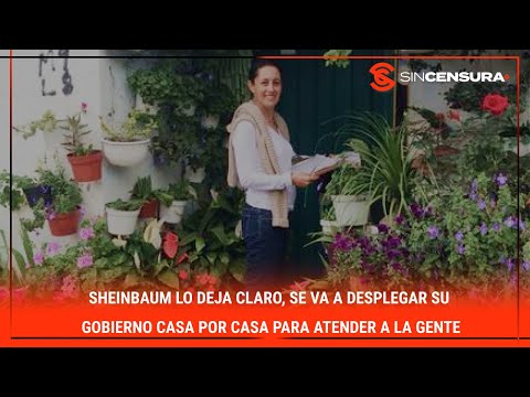 #Sheinbaum lo deja claro, se va a desplegar su gobierno CASA POR CASA para atender a la gente