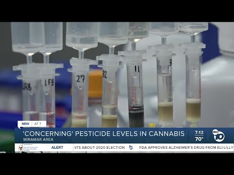 San Diego lab warns of 'concerning' pesticide levels in cannabis products