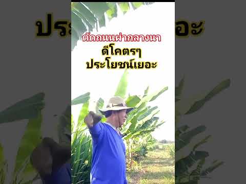 ตัดถนนผ่านาดีโคตรๆประโยชน์เพี