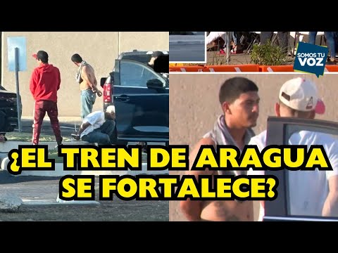 Tren de Aragua, ¿se fortalece en Texas entre disputas políticas?