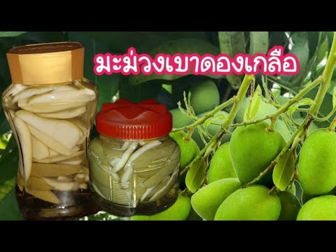 มะม่วงเบาดองเกลือแค่2วันก็อ