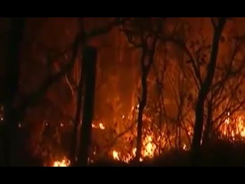 Miles de hectáreas afectadas por los incendios