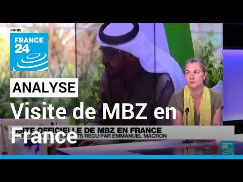 Analyse: Visite officielle du président des Émirats arabes unis en France • FRANCE 24
