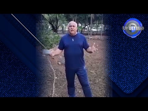 Jaime David critica poda de arboles en Parque Mirador SUR - Lo Ultimo