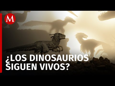 El museo Universum presenta 'Dinosaurios entre nosotros'