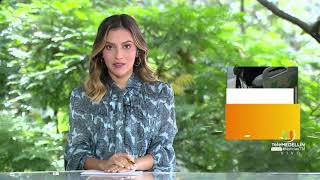 Noticias Telemedellín 25 de octubre emisión 12:00 m.