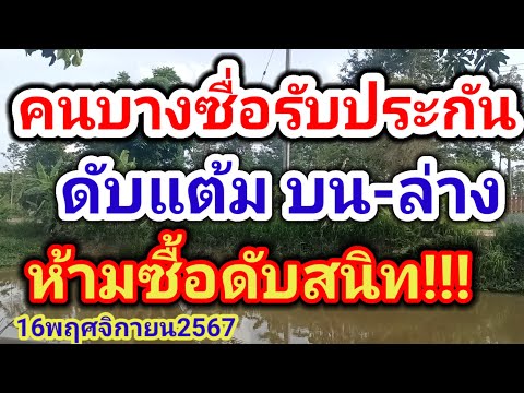 คนบางซื่อรับประกันดับแต้มบน-