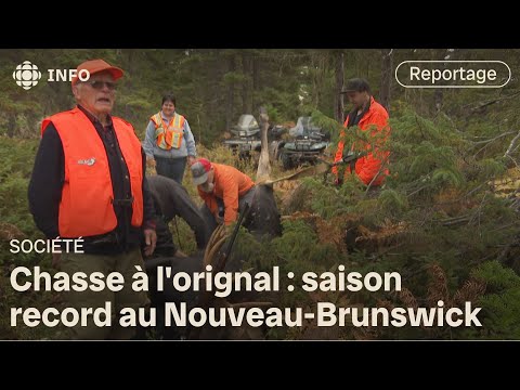 À 92 ans, il chasse toujours l'orignal et atteint sa cible