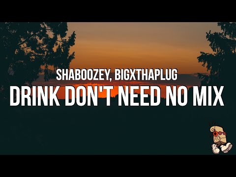 Shaboozey - Drink Don't Need No Mix (Lyrics) feat. BigXthaPlug