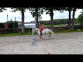 Pony Brave betrouwbare A-pony