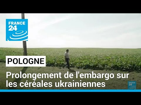 La Pologne prolonge son embargo sur les céréales ukrainiennes • FRANCE 24