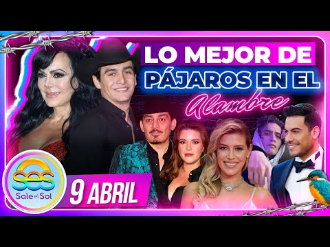 Julián Figueroa, Maribel, Yahir, Alicia Machado, José Manuel | Lo Mejor de Pájaros | 9/04/2024