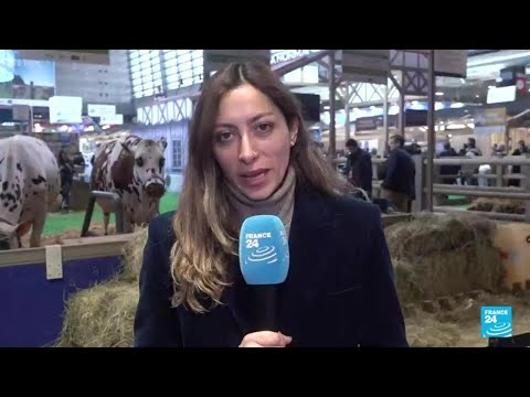 Informe desde París: granjeros franceses protestan en medio del Salón de la Agricultura