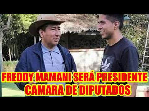 DIPUTADO FREDDY MAMANI FUE ELEGIDO PARA PRESIDIR LA PRESIDENCIA DE LA CAMARA DE DIPUTADO..