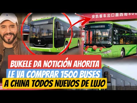 Bukele Da Noticion Trae 1500 Buses de China
