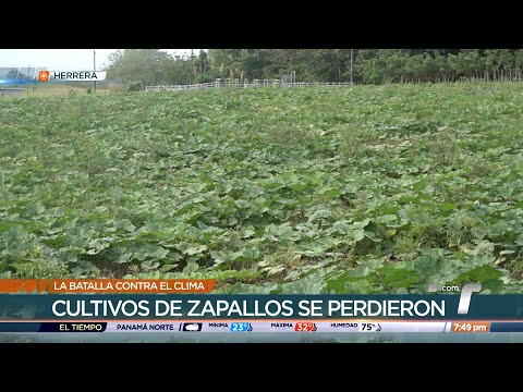 La batalla contra el clima, S.O.S en el campo