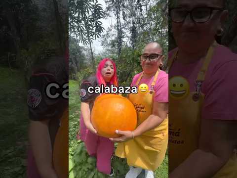 CALABAZA GIGANTE