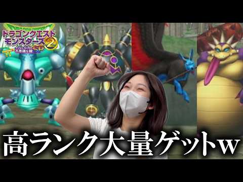 SSランクモンスター達を盗みまくって大興奮するあまみｗｗｗ【DQM2】