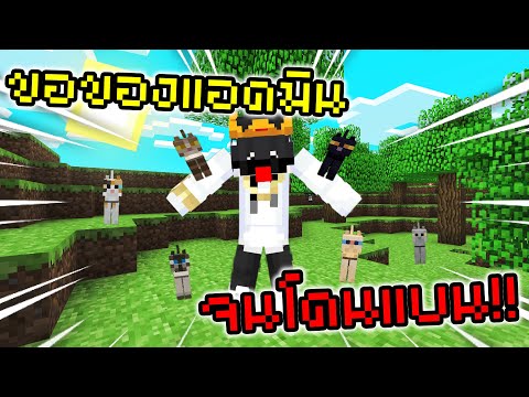 ขอของจากแอดมิน-จนโดนแบน!!-555+ ขอของจากแอดมิน-จนโดนแบน!!-555+