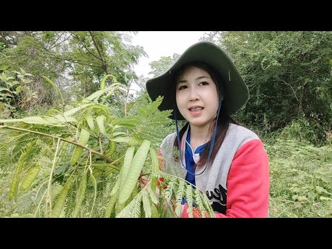 บรรยากาศอยู่ทุ่งนาดีหลาย🌾🌳🍃