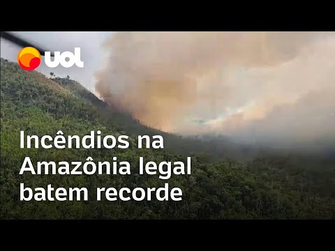 Incêndios na Amazônia legal batem recorde para um 1º semestre em 20 anos