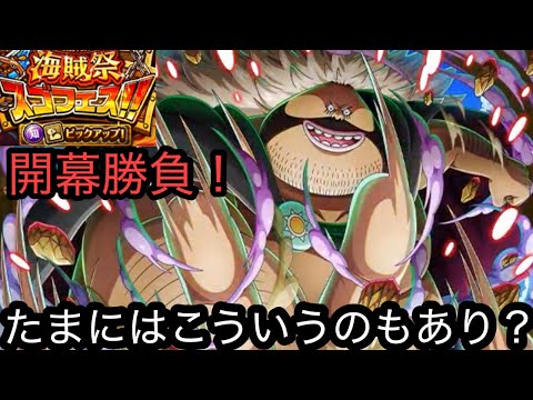 [トレクル]海賊祭スゴフェス知強靭ピックアップ開幕勝負！黒ひげ海賊団の勢いがすごいが、ガチャ運はどう？[OPTC][海賊祭]